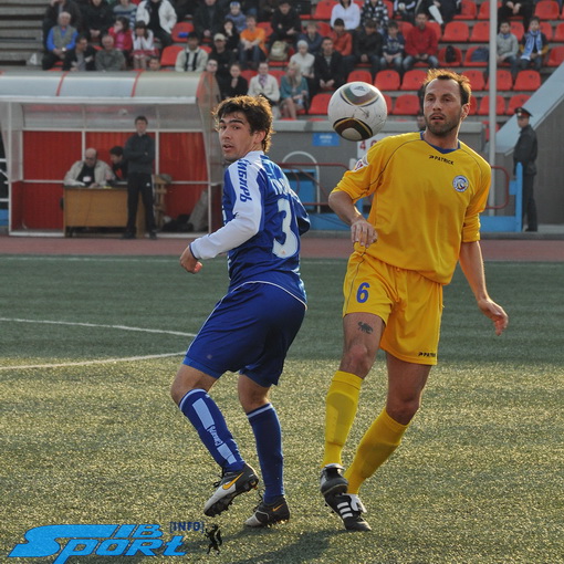 gorogcov_510